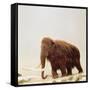 Woolly Mammoth Prehistoric Reconstruction-Arthur Hayward-Framed Stretched Canvas