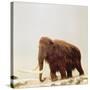 Woolly Mammoth Prehistoric Reconstruction-Arthur Hayward-Stretched Canvas