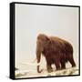 Woolly Mammoth Prehistoric Reconstruction-Arthur Hayward-Framed Stretched Canvas