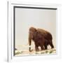 Woolly Mammoth Prehistoric Reconstruction-Arthur Hayward-Framed Photographic Print