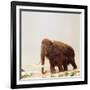 Woolly Mammoth Prehistoric Reconstruction-Arthur Hayward-Framed Photographic Print