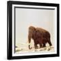 Woolly Mammoth Prehistoric Reconstruction-Arthur Hayward-Framed Photographic Print