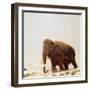 Woolly Mammoth Prehistoric Reconstruction-Arthur Hayward-Framed Photographic Print