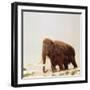 Woolly Mammoth Prehistoric Reconstruction-Arthur Hayward-Framed Photographic Print