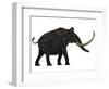 Woolly Mammoth, Side View-Stocktrek Images-Framed Art Print