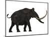 Woolly Mammoth, Side View-Stocktrek Images-Mounted Art Print