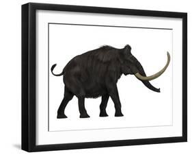 Woolly Mammoth, Side View-Stocktrek Images-Framed Art Print