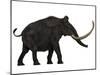 Woolly Mammoth, Side View-Stocktrek Images-Mounted Art Print