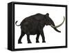 Woolly Mammoth, Side View-Stocktrek Images-Framed Stretched Canvas