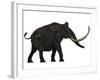 Woolly Mammoth, Side View-Stocktrek Images-Framed Art Print