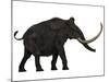 Woolly Mammoth, Side View-Stocktrek Images-Mounted Art Print