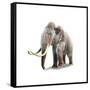 Woolly Mammoth, White Background-null-Framed Stretched Canvas