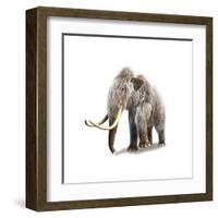 Woolly Mammoth, White Background-null-Framed Art Print