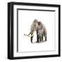 Woolly Mammoth, White Background-null-Framed Art Print