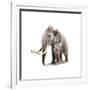 Woolly Mammoth, White Background-null-Framed Art Print