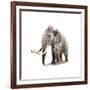 Woolly Mammoth, White Background-null-Framed Art Print