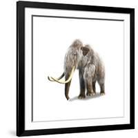 Woolly Mammoth, White Background-null-Framed Art Print