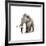 Woolly Mammoth, White Background-null-Framed Art Print