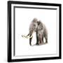 Woolly Mammoth, White Background-null-Framed Art Print