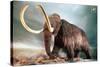 Woolly Mammoth-null-Stretched Canvas