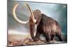Woolly Mammoth-null-Mounted Art Print