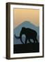 Woolly Mammoth-Lantern Press-Framed Art Print