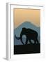 Woolly Mammoth-Lantern Press-Framed Art Print