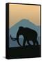 Woolly Mammoth-Lantern Press-Framed Stretched Canvas