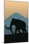 Woolly Mammoth-Lantern Press-Mounted Art Print