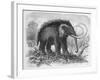 Woolly Mammoth-null-Framed Giclee Print