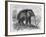 Woolly Mammoth-null-Framed Giclee Print