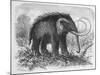 Woolly Mammoth-null-Mounted Giclee Print