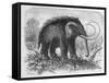 Woolly Mammoth-null-Framed Stretched Canvas