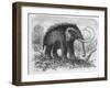 Woolly Mammoth-null-Framed Premium Giclee Print