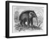 Woolly Mammoth-null-Framed Premium Giclee Print