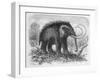 Woolly Mammoth-null-Framed Premium Giclee Print