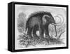 Woolly Mammoth-null-Framed Stretched Canvas