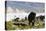 Woolly Mammoths and Woolly Rhinos in a Prehistoric Landscape-null-Stretched Canvas