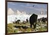 Woolly Mammoths and Woolly Rhinos in a Prehistoric Landscape-null-Framed Art Print