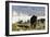 Woolly Mammoths and Woolly Rhinos in a Prehistoric Landscape-null-Framed Art Print