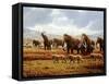 Woolly Mammoths-Mauricio Anton-Framed Stretched Canvas