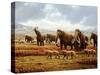 Woolly Mammoths-Mauricio Anton-Stretched Canvas