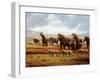 Woolly Mammoths-Mauricio Anton-Framed Photographic Print