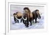 Woolly Mammoths-null-Framed Photographic Print