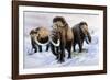 Woolly Mammoths-null-Framed Photographic Print