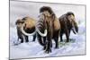 Woolly Mammoths-null-Mounted Photographic Print