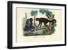 Woolly Monkey, 1863-79-Raimundo Petraroja-Framed Giclee Print