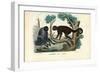 Woolly Monkey, 1863-79-Raimundo Petraroja-Framed Giclee Print