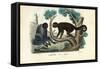 Woolly Monkey, 1863-79-Raimundo Petraroja-Framed Stretched Canvas