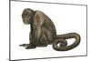 Woolly Monkey (Lagothrix Infumatus), Mammals-Encyclopaedia Britannica-Mounted Poster